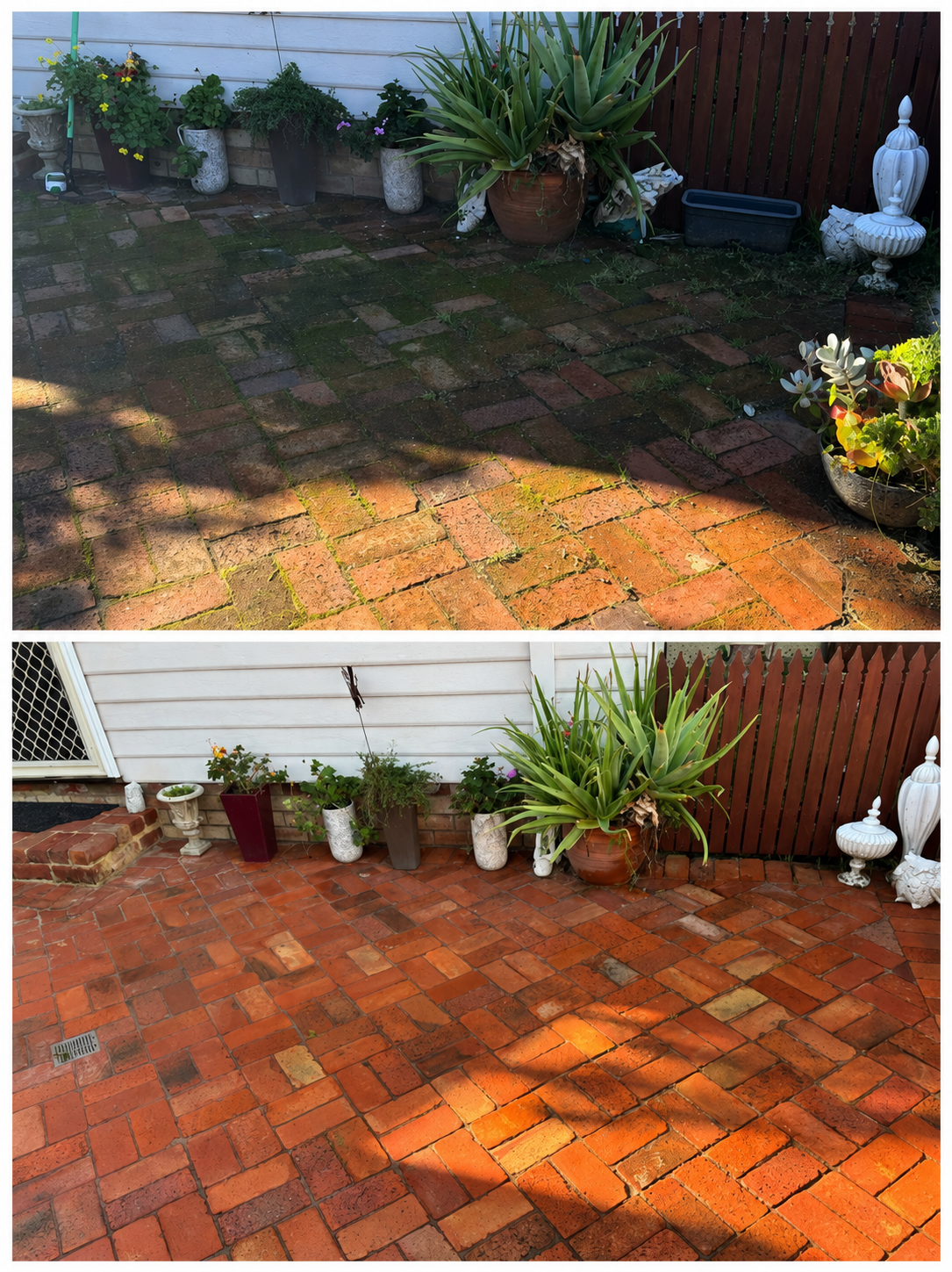 Garden Bed & Paving
