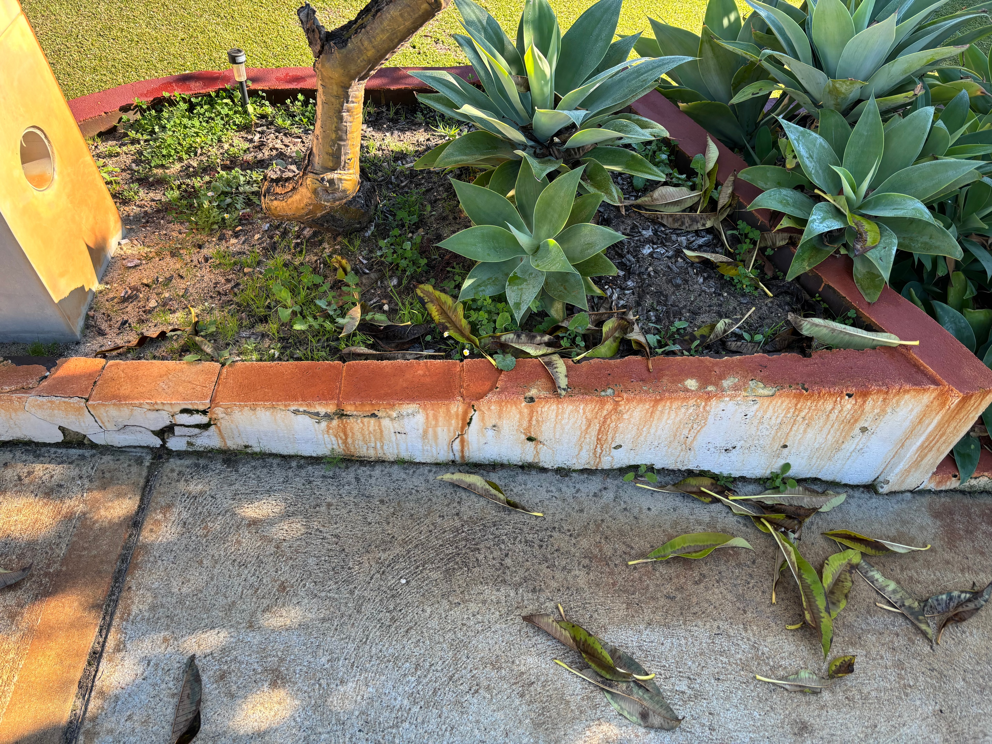 Garden bed edging bore stain before treatment