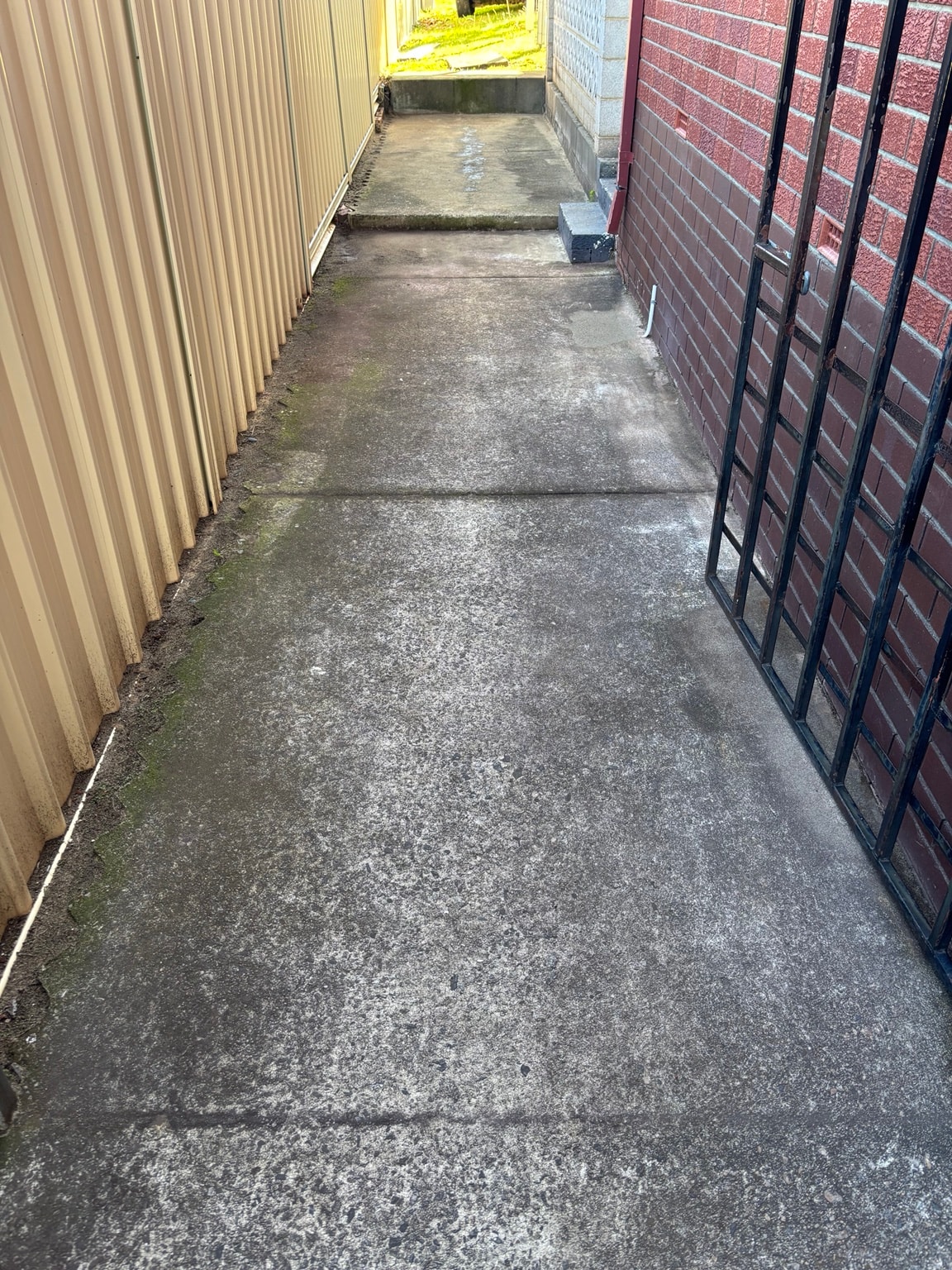 Concrete pathway before surface washing