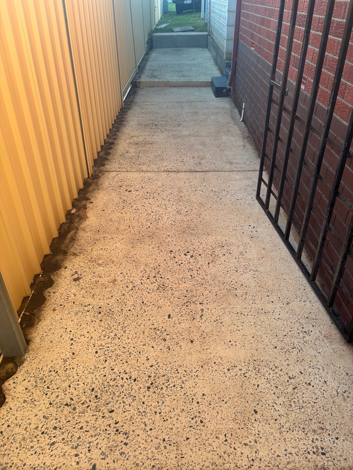 Concrete pathway after surface washing